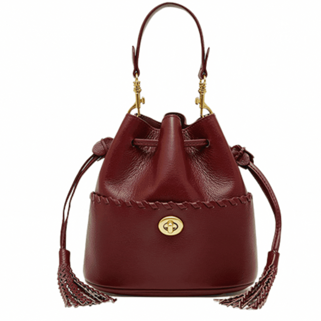 ChicTote Tassel Leather Bucket Bag