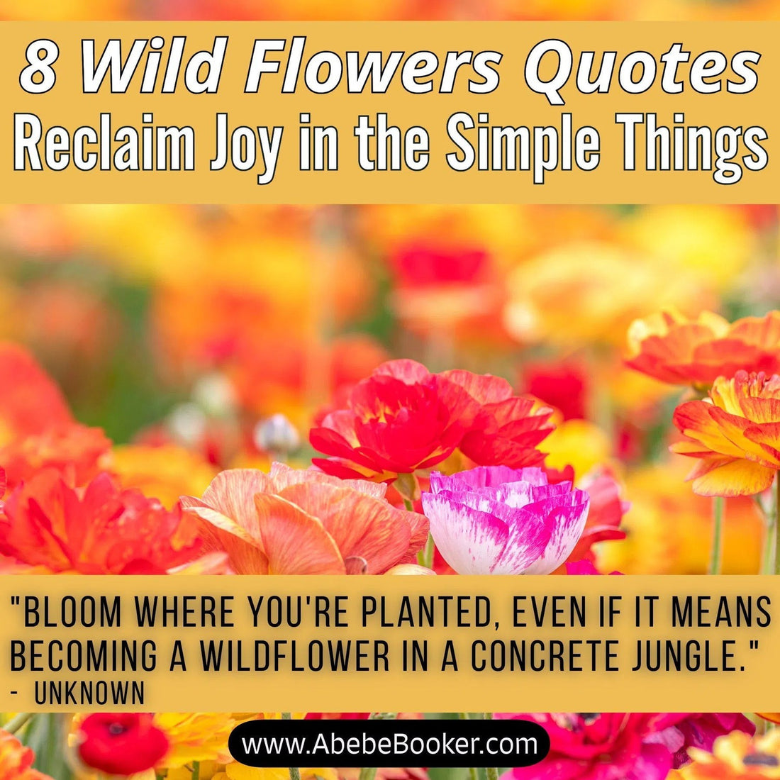 Quotes on Wildflowers Beyond the Bloom, Capture Their Untamed Spirit