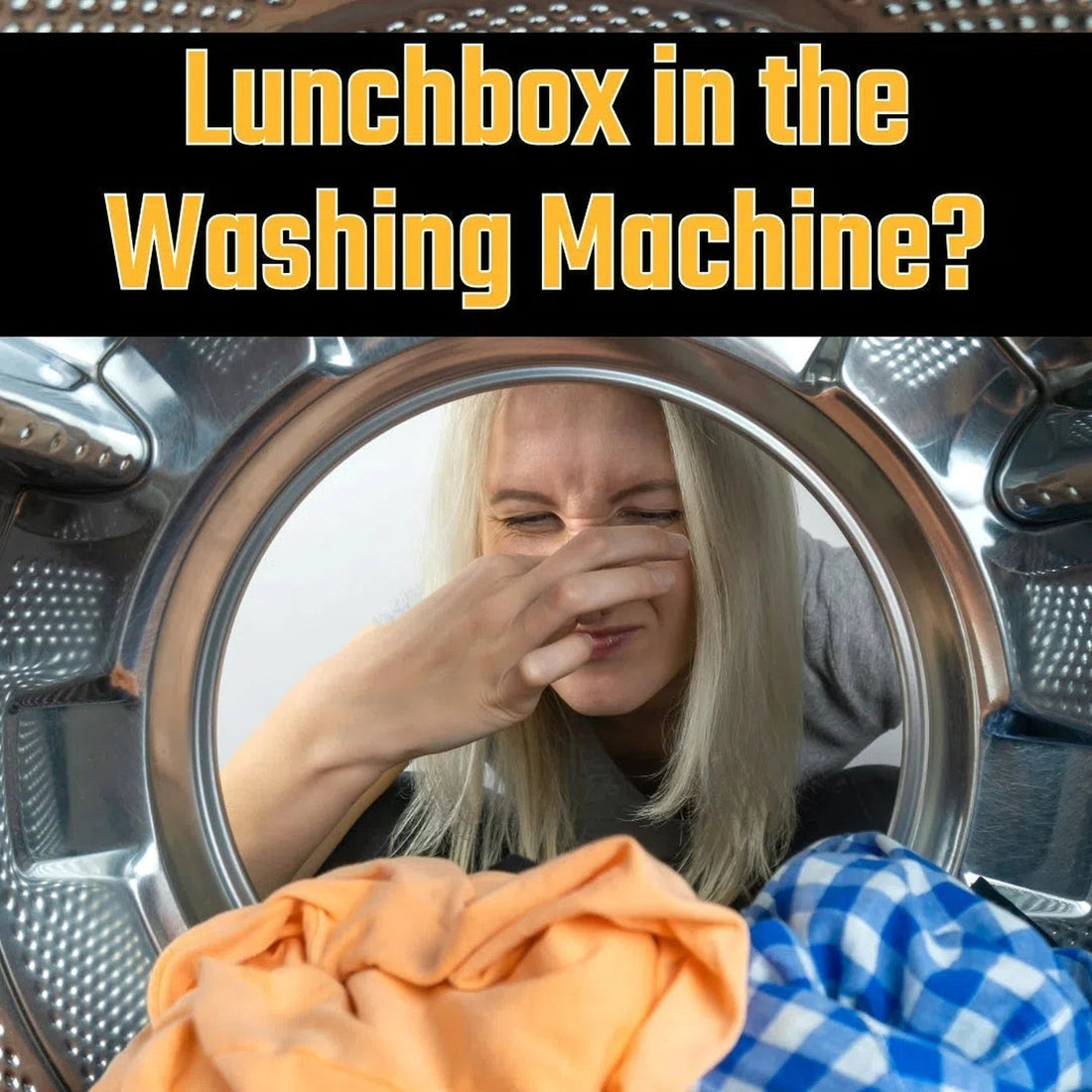 Can you put a lunchbox in the washing machine?