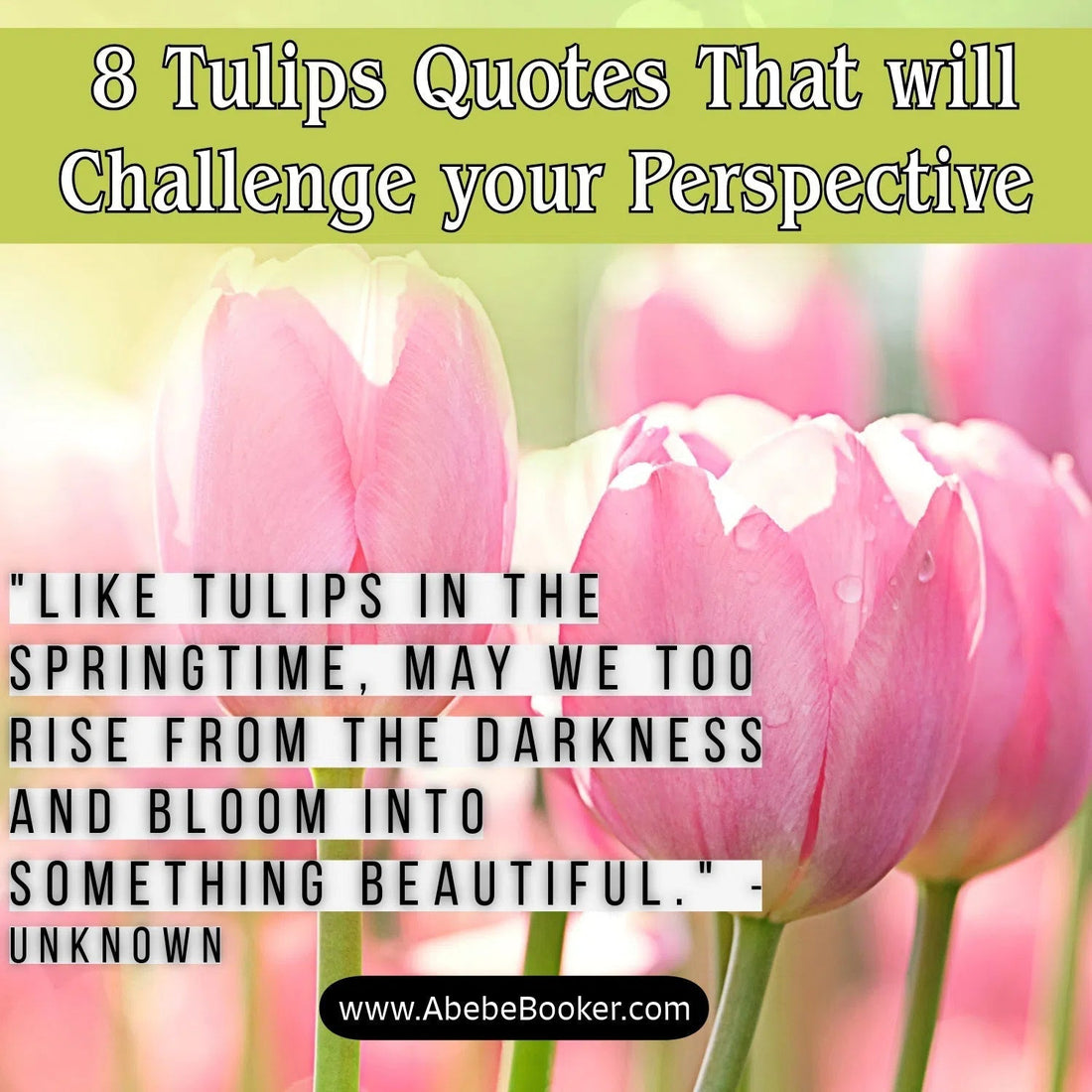 Quote about Tulips | Uplifting Quotes to Spark Joy and Growth