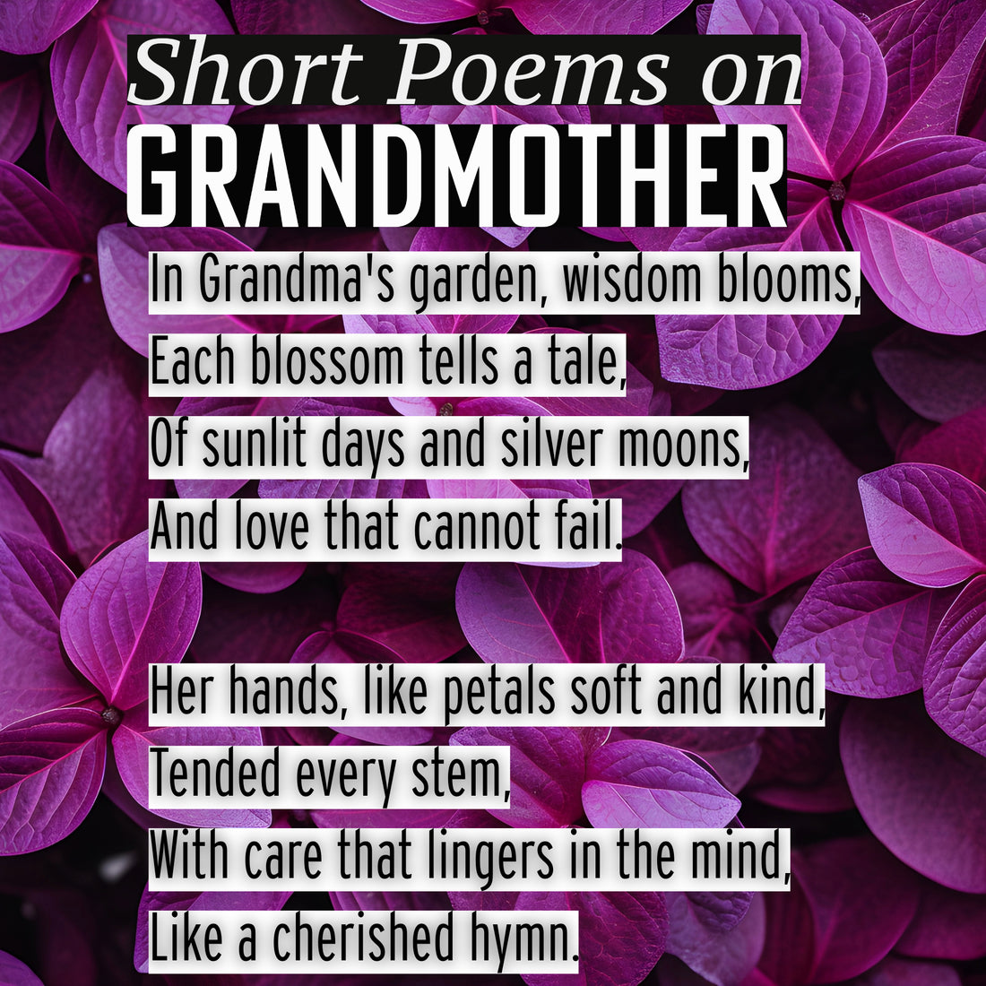 short poems on grandmother